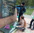 Зеленая Россия - Город Нея и Нейский район