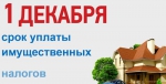 До 1 декабря!