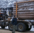 Против незаконных рубок древесины - Газета Нейские вести