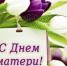 27 ноября — День матери - Газета Нейские вести