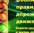 Будьте внимательны за рулем! - Газета Нейские вести