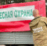 По поручению Сергея Ситникова Костромская область вводит дополнительные меры пожарной безопасности в лесах - Газета Нейские вести