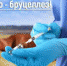 Владельцы животных, будьте в курсе! - Газета Нейские вести