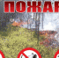 В Нейском участковом лесничестве ликвидировали лесной пожар - Газета Нейские вести