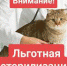 Льготная кастрация и  стерилизация котов и кошек - Газета Нейские вести