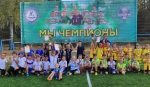 Мини-футбол