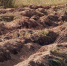 Надо исполнять. По-другому не получится - Газета Нейские вести