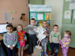 Крылья планеты
