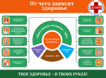 Неделя ответственного отношения к здоровью