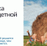 От регистрации ребенка до оформления материнского капитала - Газета Нейские вести
